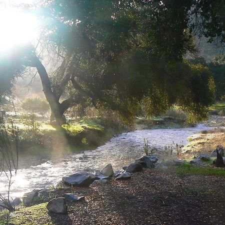 Pio Pico Camping Resort Cottage 4 Jamul 外观 照片